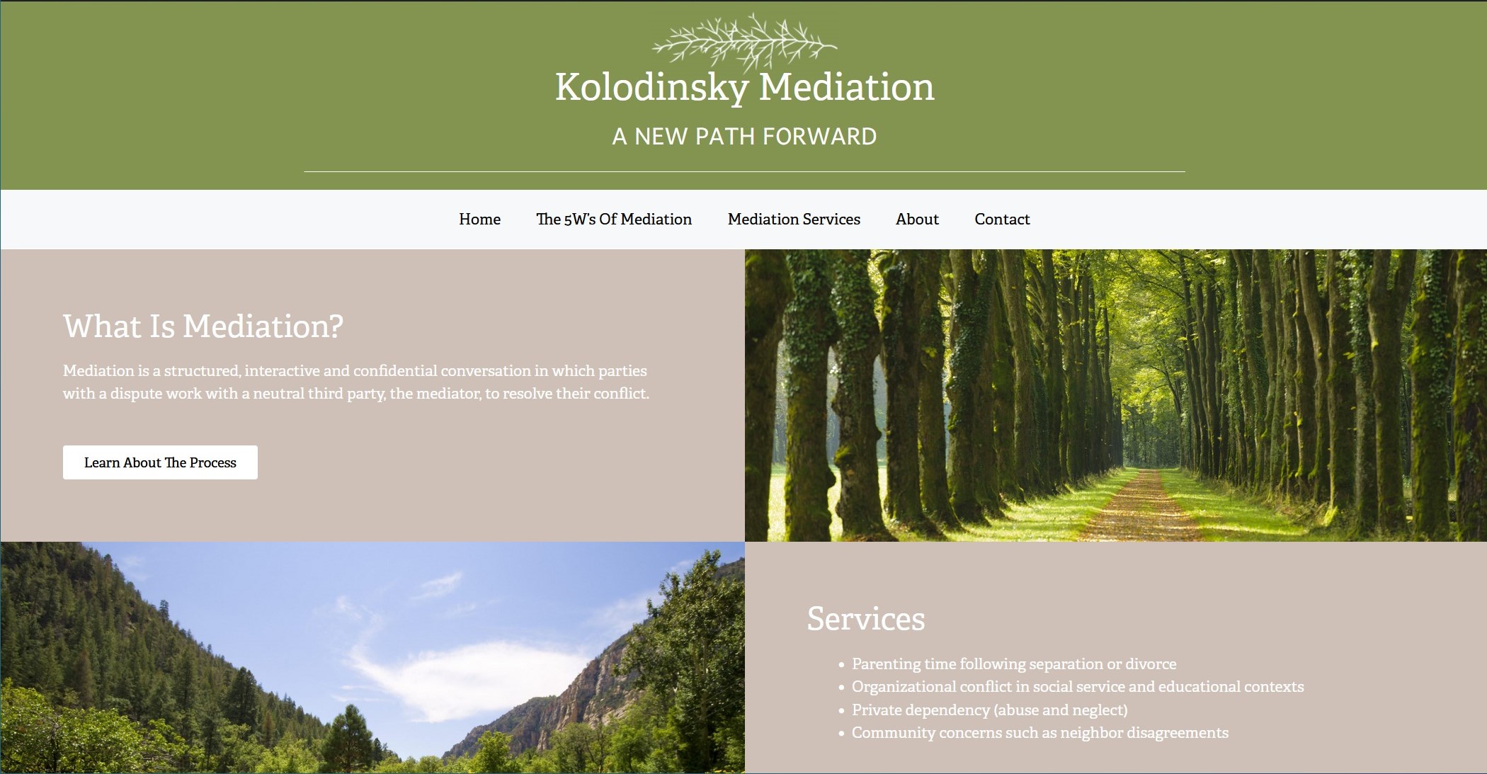 Kolodinsky Mediation